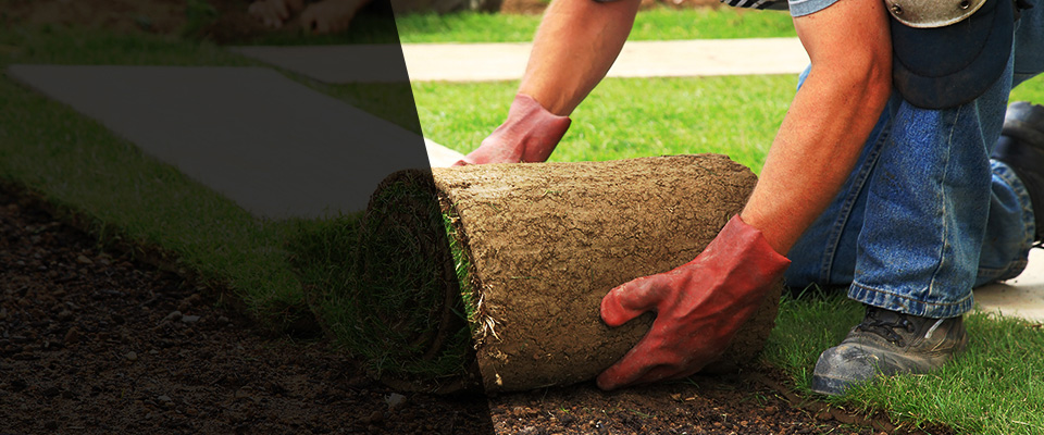 Woodward Landscapers